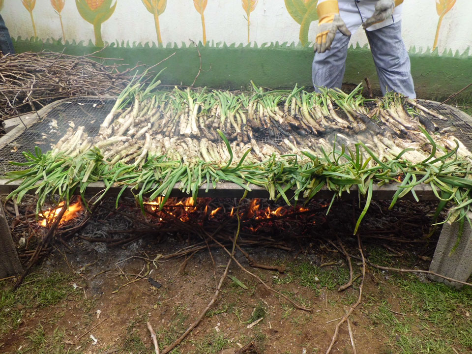calcot