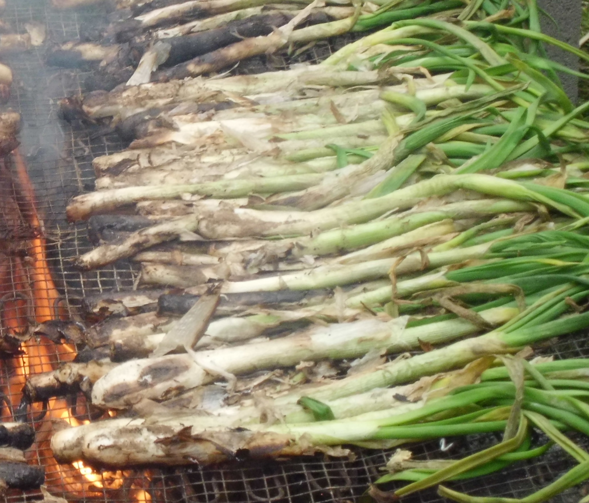 calçot